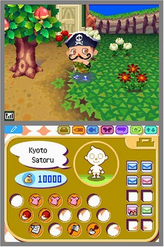 Animal crossing new leaf nds rom free download